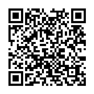 至少林一楠没听说丁长生和这位女局长有什么瓜葛二维码生成