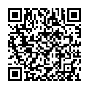 至少比起那些宣扬人性的自由主义者要高明得多二维码生成