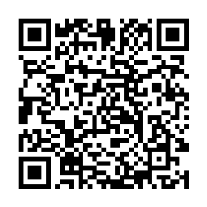 至少没有醉到可以随心所欲地做自己想做的事的地步二维码生成