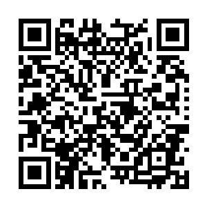 至少造化圣子绝对不敢带着荒之分身来应战自己了二维码生成