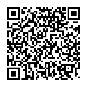 至此张东城在木乃伊这一部电影上一共获得了九千万美金左右的利润二维码生成