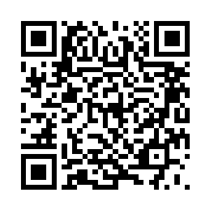 至高丛林的树木躯干上还残留着一些露水二维码生成