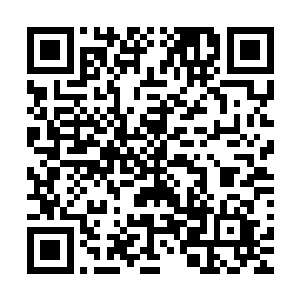 舆论走向的优势……这无疑让今年的演技奖项得到了一致好评二维码生成