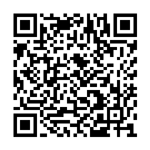 舒婉娘已经趁着他们说话的功夫下厨做了一些菜二维码生成