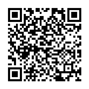 舒曼琳眼中闪过一丝恼怒转身将目光落在了徐清尘身上二维码生成