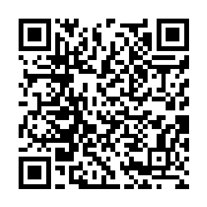 舒马赫可以说是过去几年时间里最成功的导演之一二维码生成