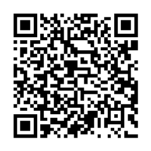 舞若飘一下就伸手两只手捏住夜染的脸颊开始蹂躏了起来二维码生成