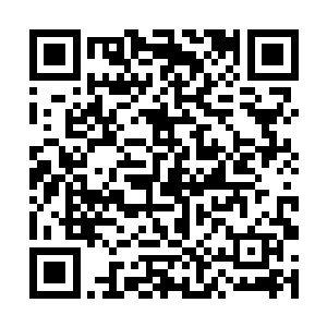 舰队的防空火炮对于速度不是很快的鱼雷机威胁巨大二维码生成
