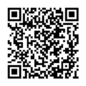 船上的冷小野和司空月冥立刻就被海盗们拉起来二维码生成