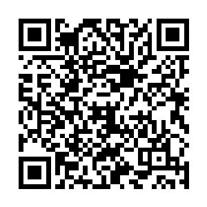 船上的科研小队在水晶湖实验室中发现了两个被冰封的二维码生成