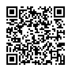 船头上那个好几层楼高的大老鼠头也让人有点不寒而栗二维码生成