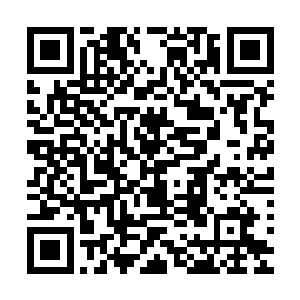 船己经出港了所有的事情不满都只能放到回到码头的时候再说二维码生成