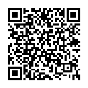 良好的环境和丰富的食物让它们的个头蹿得飞快二维码生成