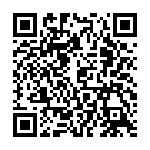 艳毒花存在于这个世界上的恐怕就只有这里的这么一株了二维码生成