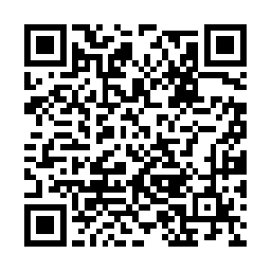 艾丽娅姐妹还有小荒这个时候都感觉到非常的诡异二维码生成