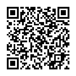 艾莉娜轻声提醒还在惊叹夕阳坠落海面那一霎那的惊二维码生成
