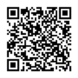 艾莎和李海刚才也都看到了陈绍杰练的这套拳法二维码生成