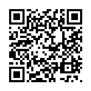 节细的文符种各的阵法魔上地是别特二维码生成