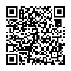 芥子空间内的独步望着云端高台上的土依水摇晃着手指说道二维码生成