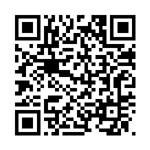 芥子级维修法宝的修复进度实在太慢二维码生成