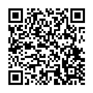 芮阁从玻璃反射的影子中看到他从未在她脸上看到过的表情二维码生成