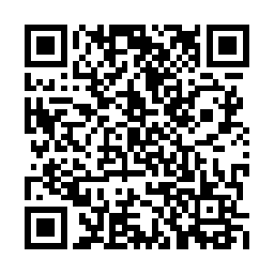 芮阁带她去的还是上次叶澈带她去的那家海鲜店二维码生成