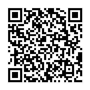 花久久只感觉到了恶心……那只碰了她的手让她很是厌恶二维码生成