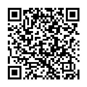 花久久的眼里也泛着狠戾她死劲抓着扣着她肩膀的大手二维码生成