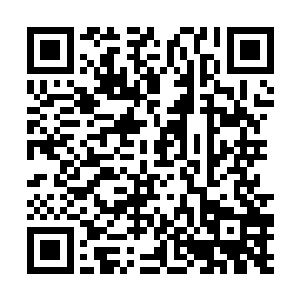 花了近二十分钟才来到秘密溶洞附近一千余里便停下二维码生成