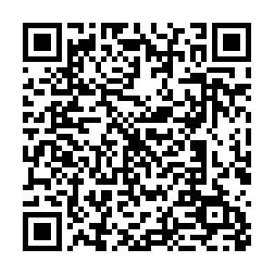 花公子方才涂到了玉露膏的头皮上的发囊被药膏当做是一个伤痕修复了二维码生成