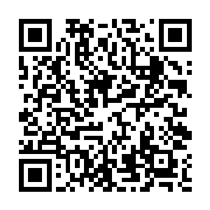 花无冷在两个兄弟的眼皮子底下吃着小人儿喂着的食物二维码生成