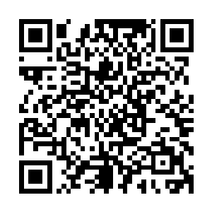 花朵中央被特蕾莎戳出的窟窿里钻出了上百根好似花蕊的光纤二维码生成