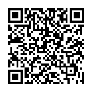 花果山在齐天大圣时代创造了一个极为强盛富庶的妖族文明二维码生成