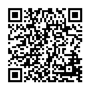 花灵认雪灵为主后还是折回去将那个采花的人抽魂噬魄二维码生成