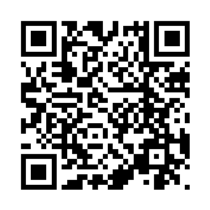 花脸王可是答应了夏天去帮他找家人的二维码生成