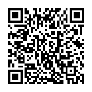 花花世界最有权威的医生都聚集在了这个猿人的身旁二维码生成