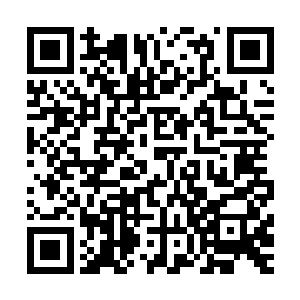 花费的药材换算成紫晶币的话……这是让人无法想象的紫晶币二维码生成