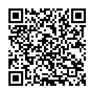 花间的治疗技能比圣元世界中的医术有效率得多二维码生成