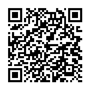 苍窍亚圣那种甚至披着青脉表皮实际核心是白属亚圣二维码生成