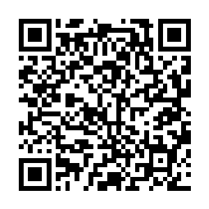 苍茫大陆上还没有这种能够令元婴期大修士看不出来的符啊二维码生成
