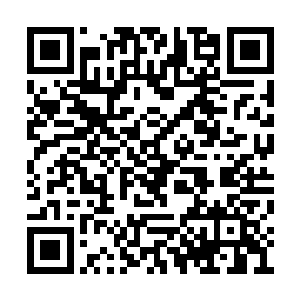 苏佳怡看到对方身体突然蒙上一层透明的能量罩二维码生成