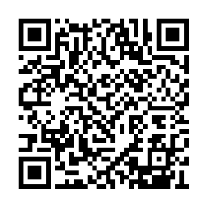 苏元也是冲上来直接的就把两个小家伙给抱住了二维码生成