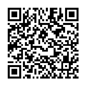 苏凡一把将手中的一个黑黢黢的小丸子扔在了阿诺德的嘴边二维码生成