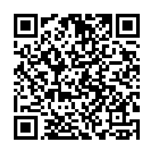 苏凡也开始全神贯注的操控着极光战神朝着前方飞奔二维码生成