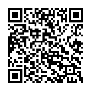 苏凡也没忘记过这个跟着小翼长的十分相像女孩二维码生成