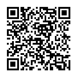 苏凡以前来过这虽然已经很长一段时间没有过来了二维码生成