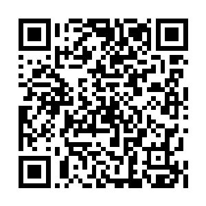 苏凡便立刻将所有的高层人员着急起来开了个会二维码生成