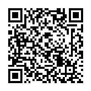 苏凡几人此刻相互看了看皆是不由的路出了一抹笑意二维码生成