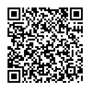 苏凡包括陆琴一家子出现在了离陆琴家的别墅不到三百米的一栋别墅前面二维码生成