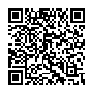 苏凡又岂能够任由他们的一句话就这么放过他们二维码生成